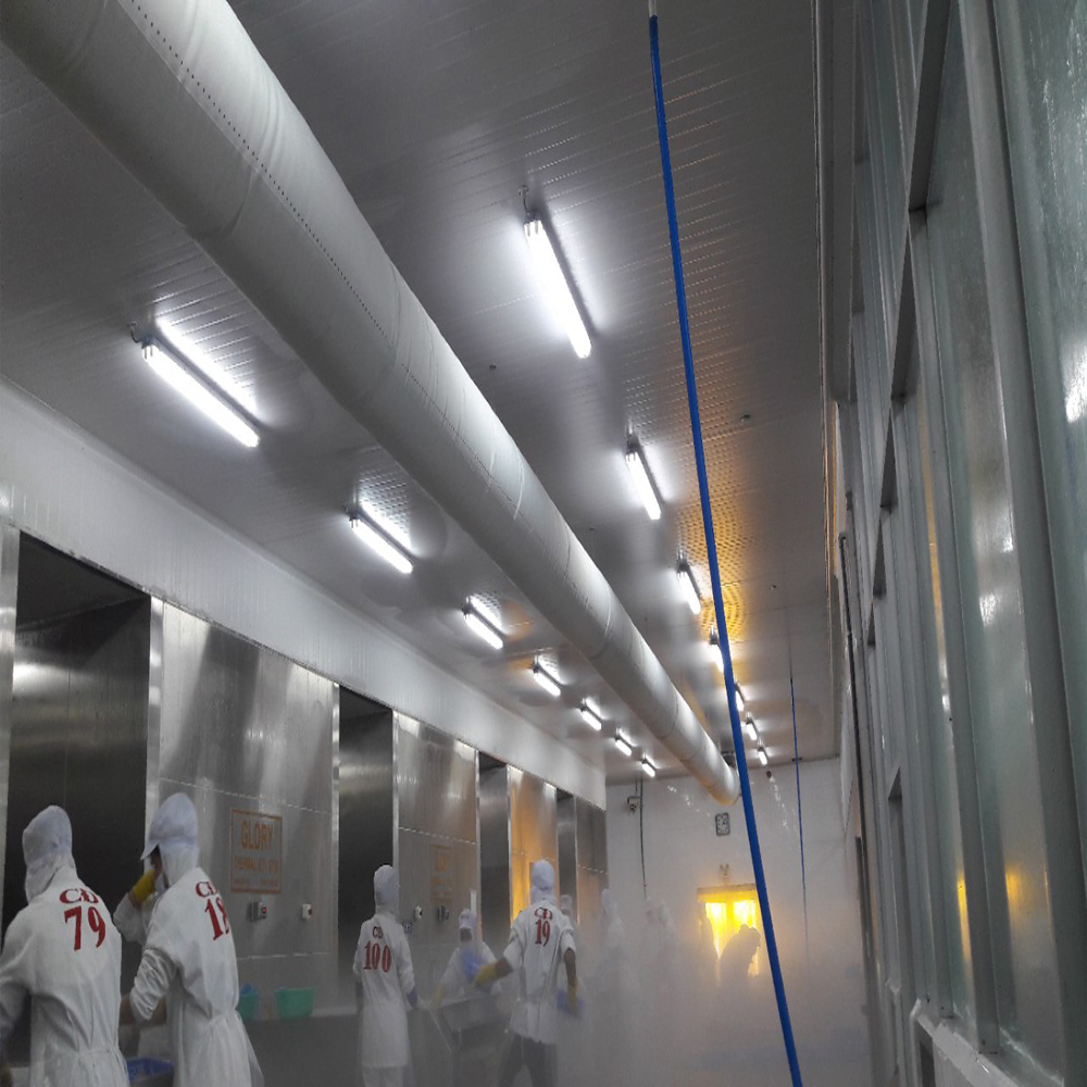 LED Waterproof IP65 & IP67